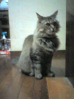 050608_2331~001.jpg