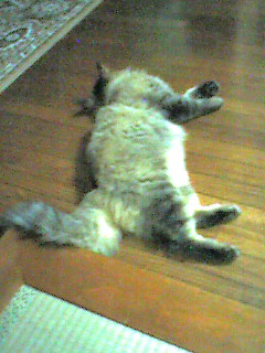 050609_2353~001.jpg