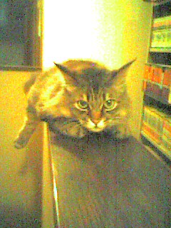 050609_2358~001.jpg
