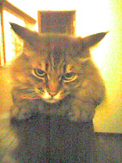 050610_0000~001.jpg