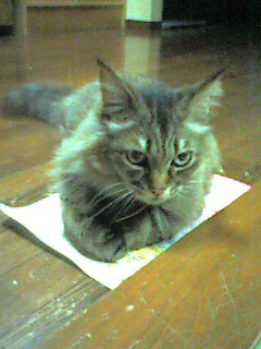 050610_0016~001.jpg