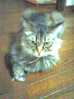 050610_0027~001.jpg