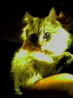 050610_2150~001.jpg
