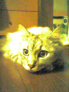 050610_2157~001.jpg