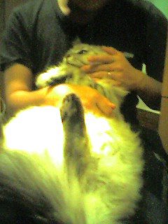 050610_2239~001.jpg