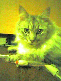 050610_2245~001.jpg