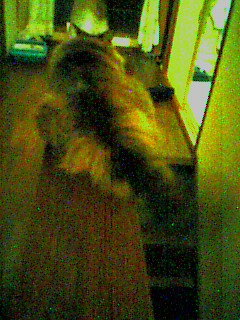 050610_2307~001.jpg