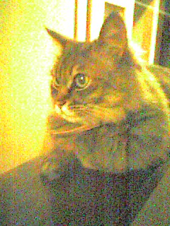 050610_2308~001.jpg