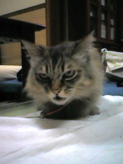 050611_0030~002.jpg