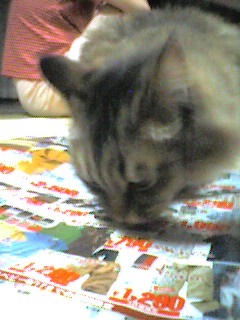 050611_2322~001.jpg
