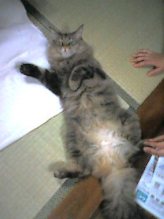 050611_2323~001.jpg