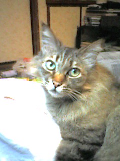 050612_0004~001.jpg