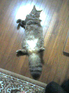 050612_2329~001.jpg