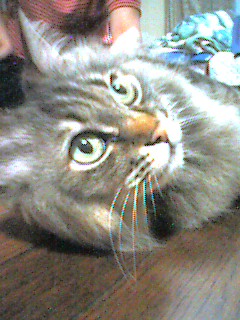 050612_2329~002.jpg