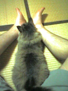 050613_0012~001.jpg