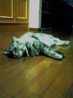 050614_2124~001.jpg
