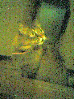 050614_2202~001.jpg