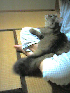 050615_2343~001.jpg