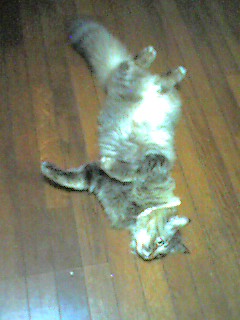 050615_2359~002.jpg