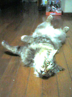 050616_0001~001.jpg
