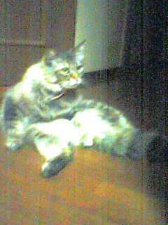 050619_2340~001.jpg