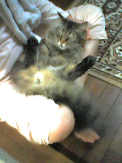 050624_0011~001.jpg