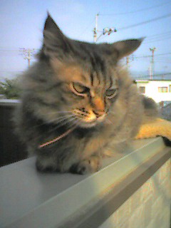 050625_1705~001.jpg