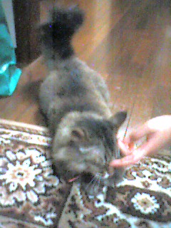 050625_2141~001.jpg