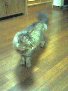 050629_2338~001.jpg