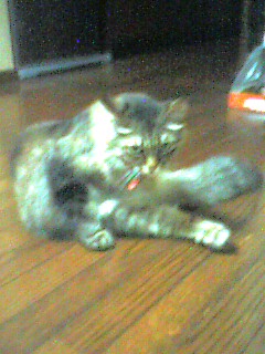 050703_2139~001.jpg