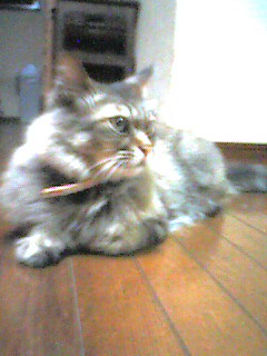 050703_2139~002.jpg