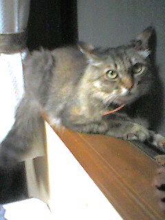 050709_0108~001.jpg