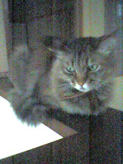050709_1303~001.jpg