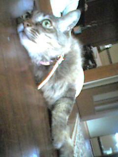050709_1459~001.jpg