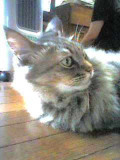 050709_1500~001.jpg
