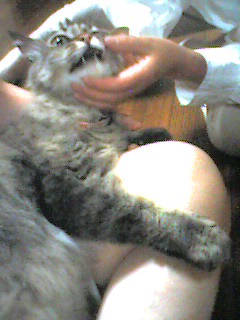 050712_2226~001.jpg