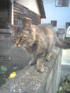 050716_1751~001.jpg