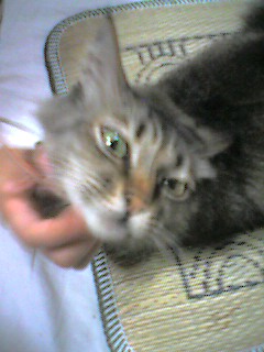 050721_2232~002.jpg