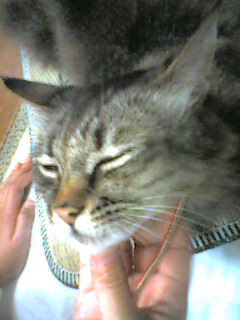 050721_2234~001.jpg