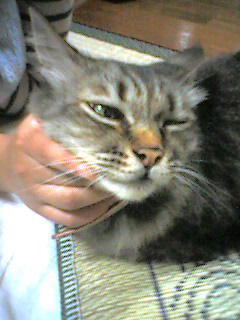 050721_2235~001.jpg