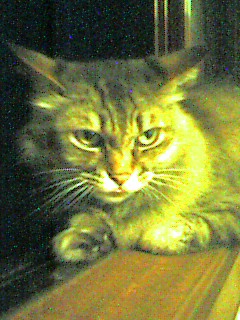 050721_2325~001.jpg