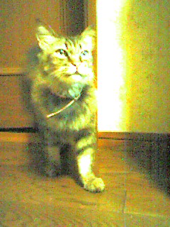 050722_2158~001.jpg
