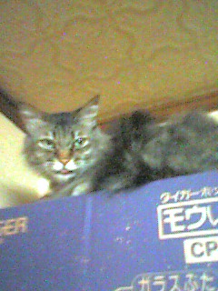 050722_2239~001.jpg