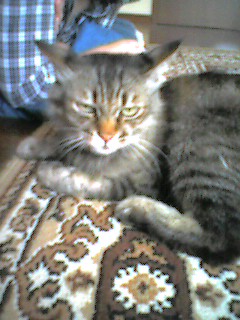 050724_1356~001.jpg
