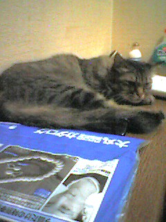 050729_0011~001.jpg