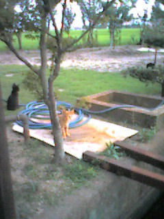 050804_1905~001.jpg