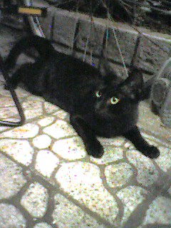 050902_2054~002.jpg
