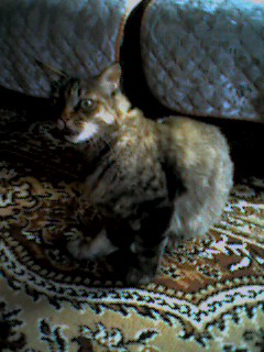 050903_1324~001.jpg