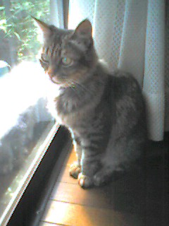 050903_1340~002.jpg