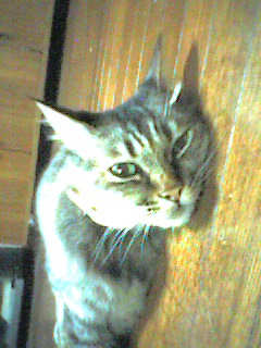 050907_2318~002.jpg